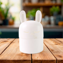 Bunny Box Kitchen Organizer